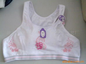 汕头市潮阳区谷饶灿南针织内衣厂文胸产品系列概览